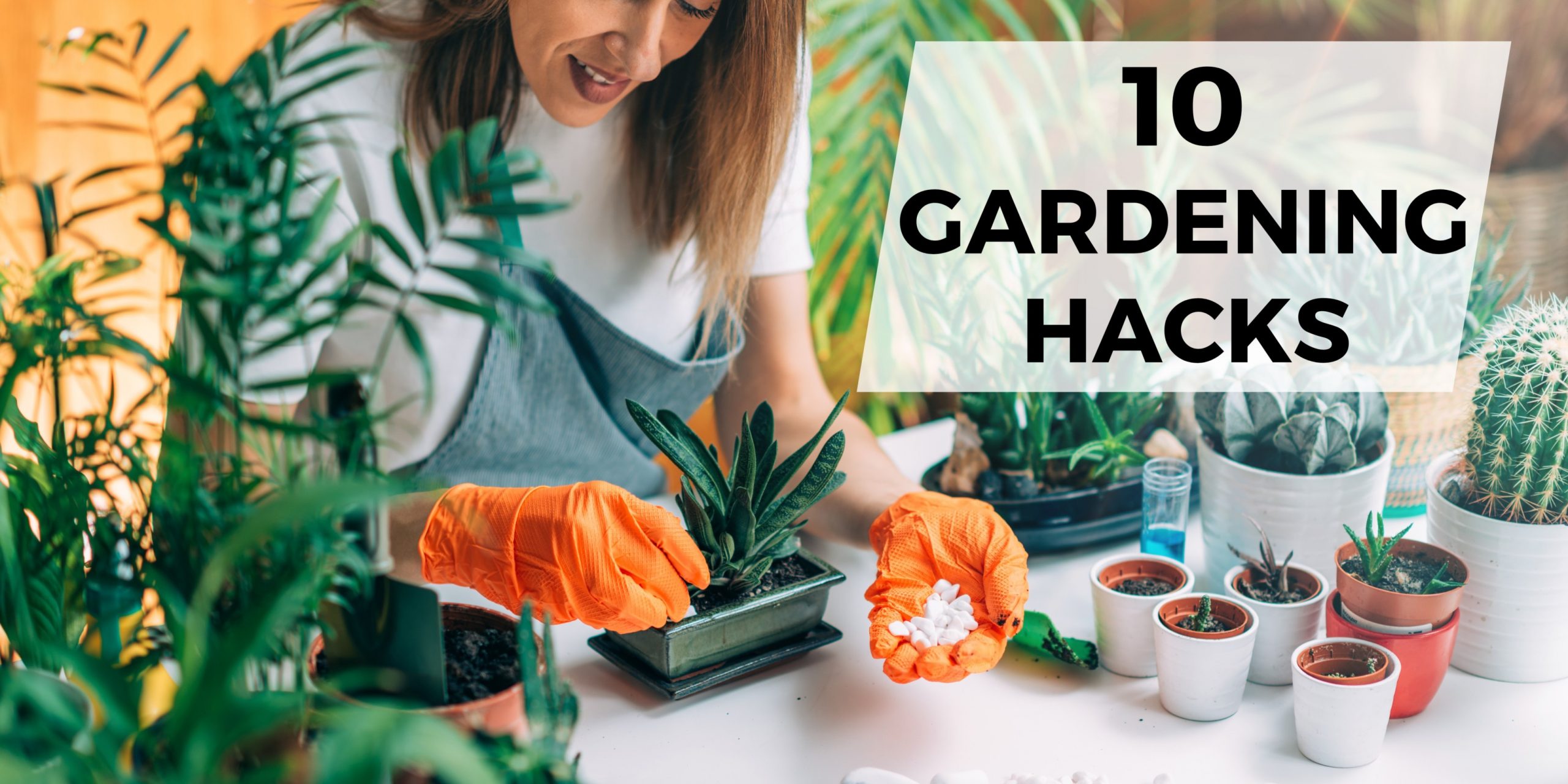 Gardening Hacks Tips and Tricks for Green Thumbs