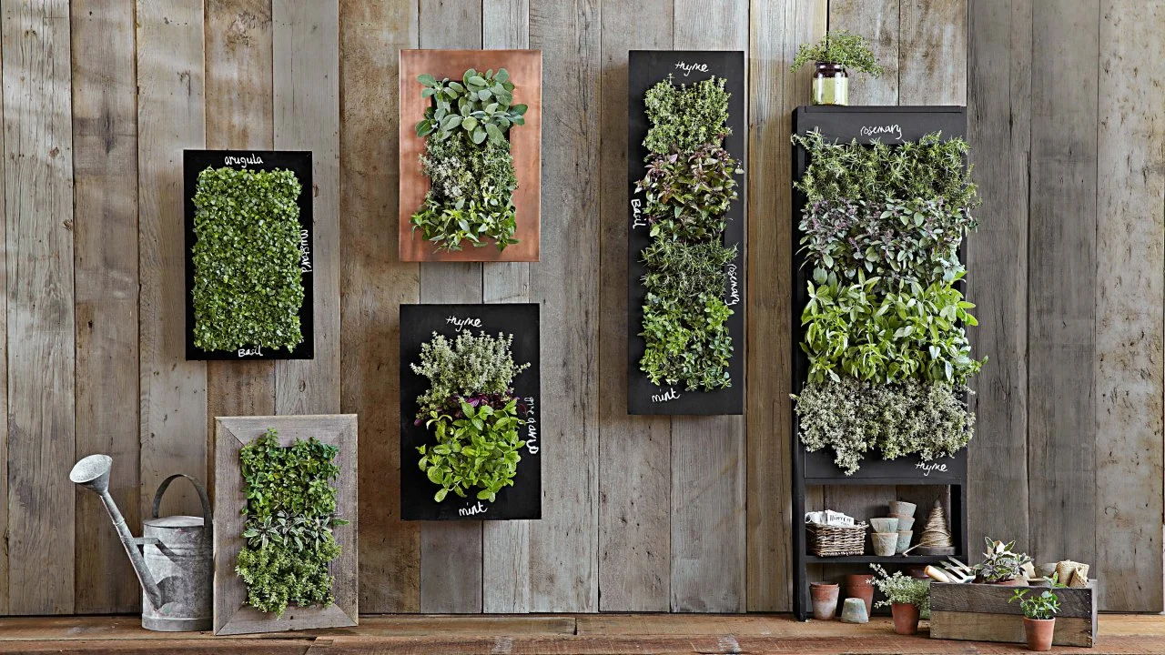 Vertical Gardening Cultivating Greenery Upward