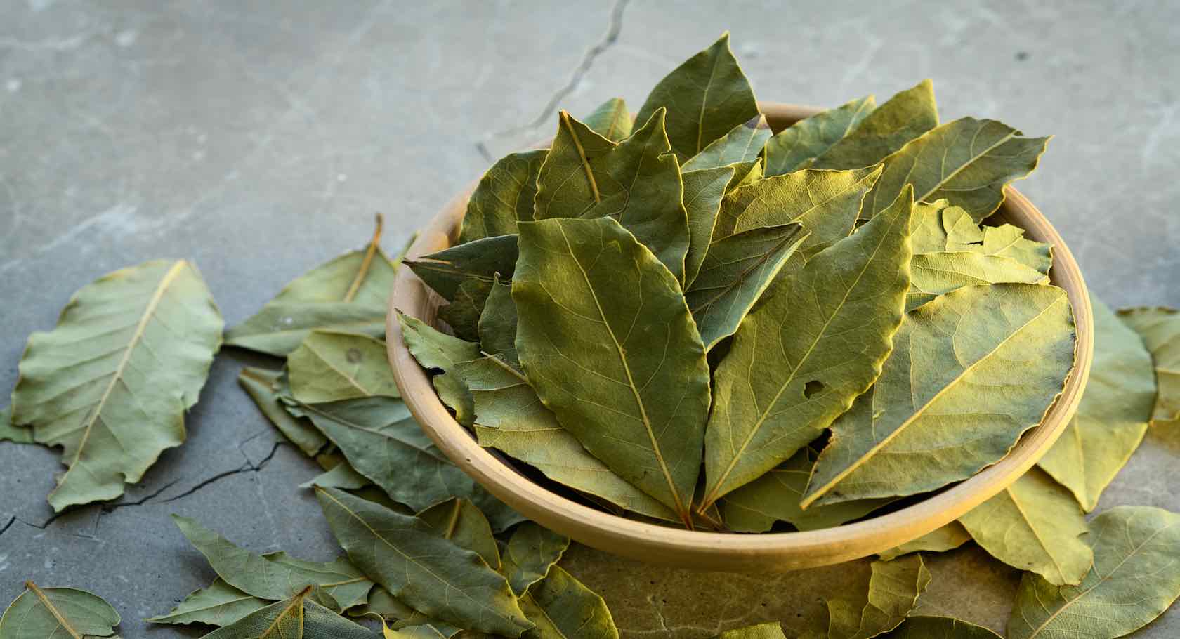 Bay Leaf A Culinary and Medicinal Gem