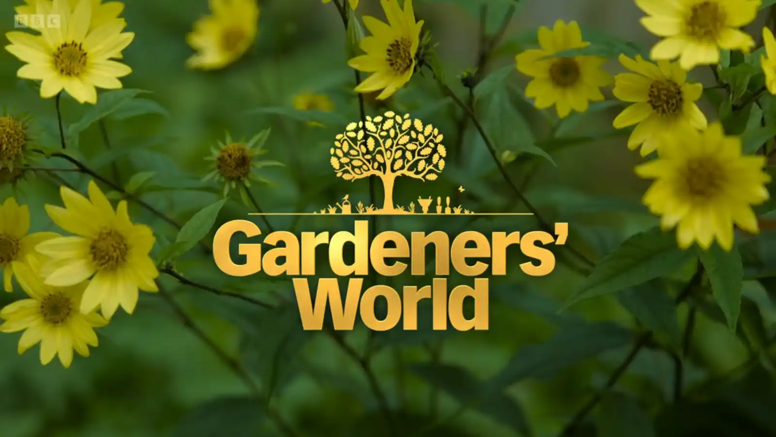 Gardeners' World A Green Oasis for Plant Enthusiasts