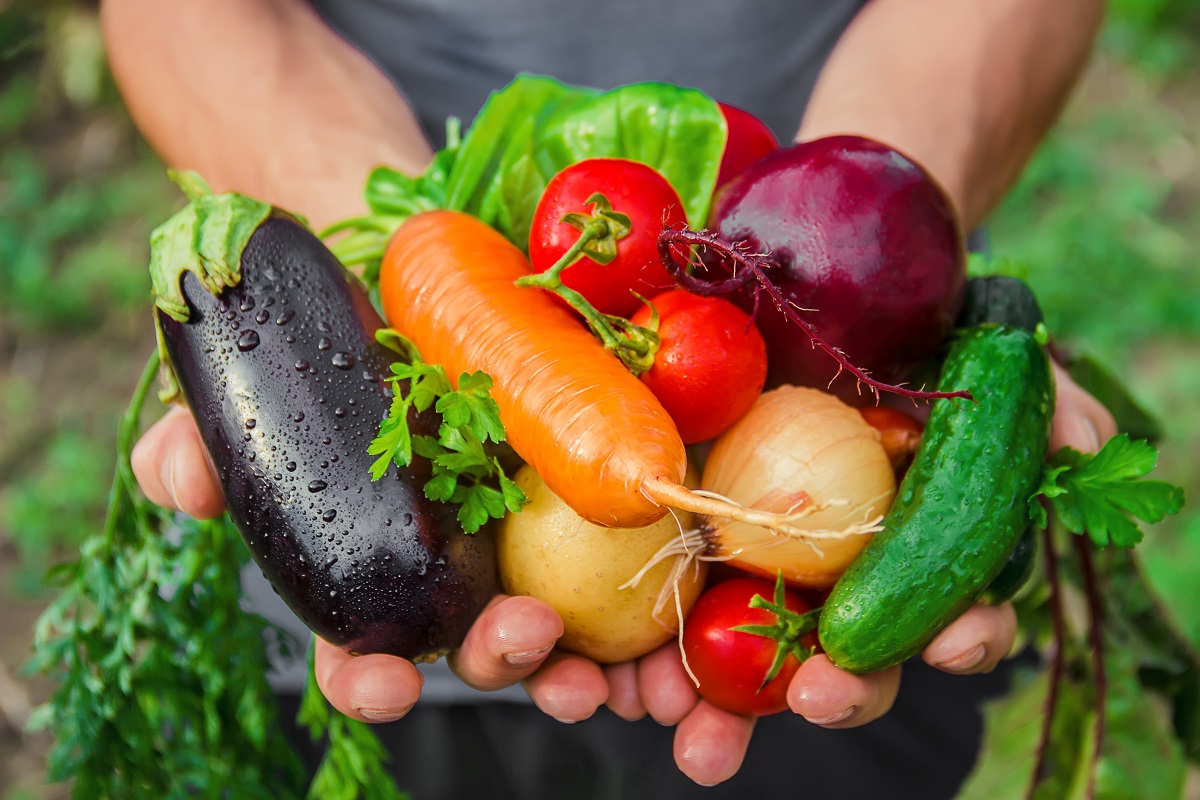 Cultivating Your Own Vegetable Garden A Fresh and Rewarding Experience