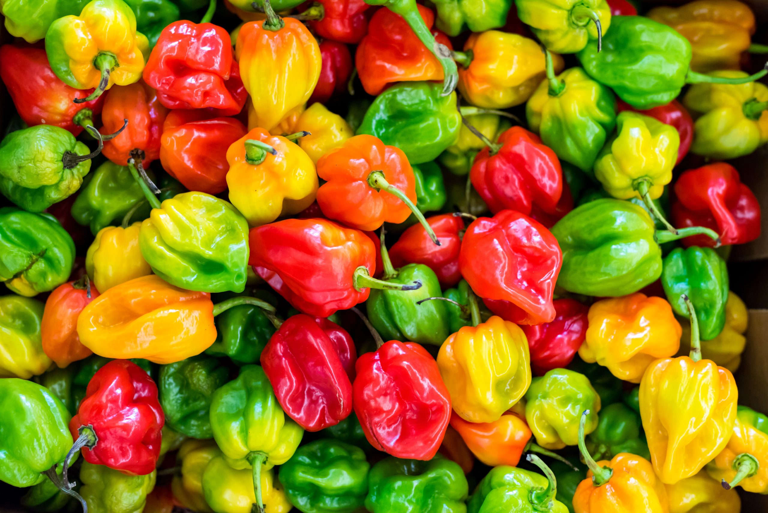 Peppers A Fiery Delight