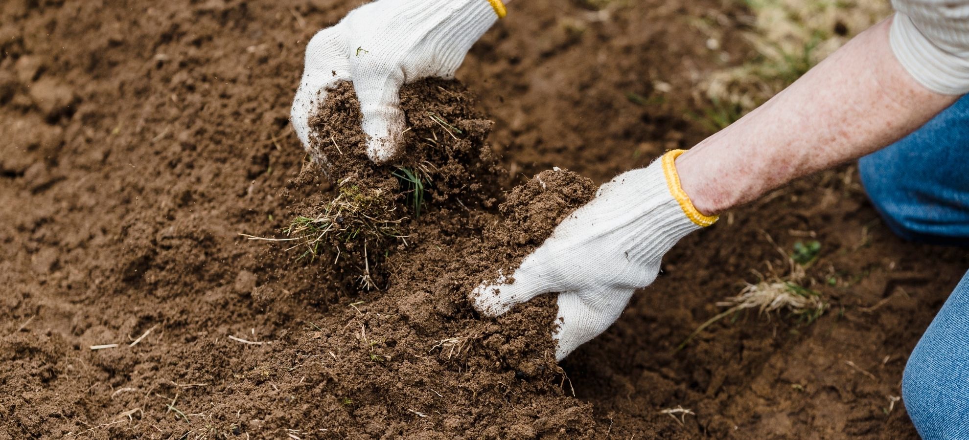 Soil-Based Gardening Nurturing Nature’s Bounty