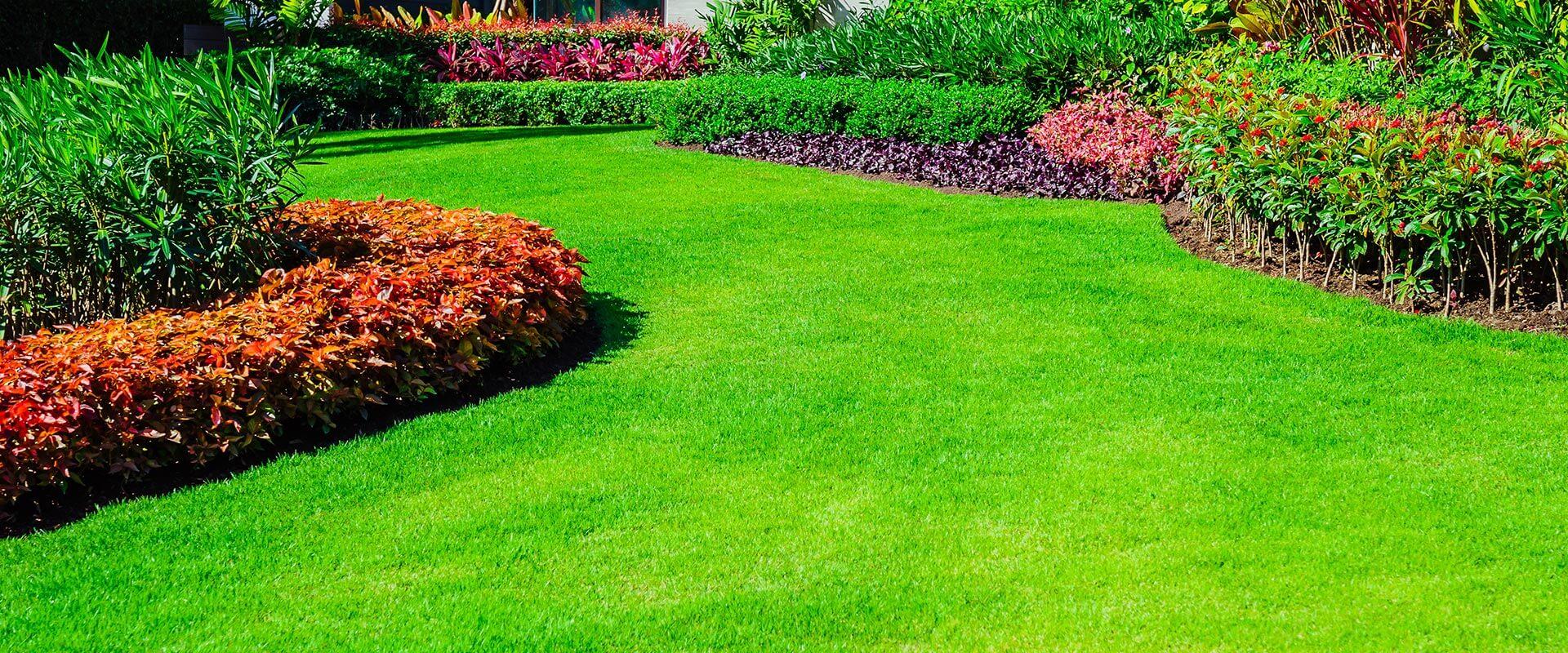 A Lush Lawn A Guide to a Greener Outdoor Space