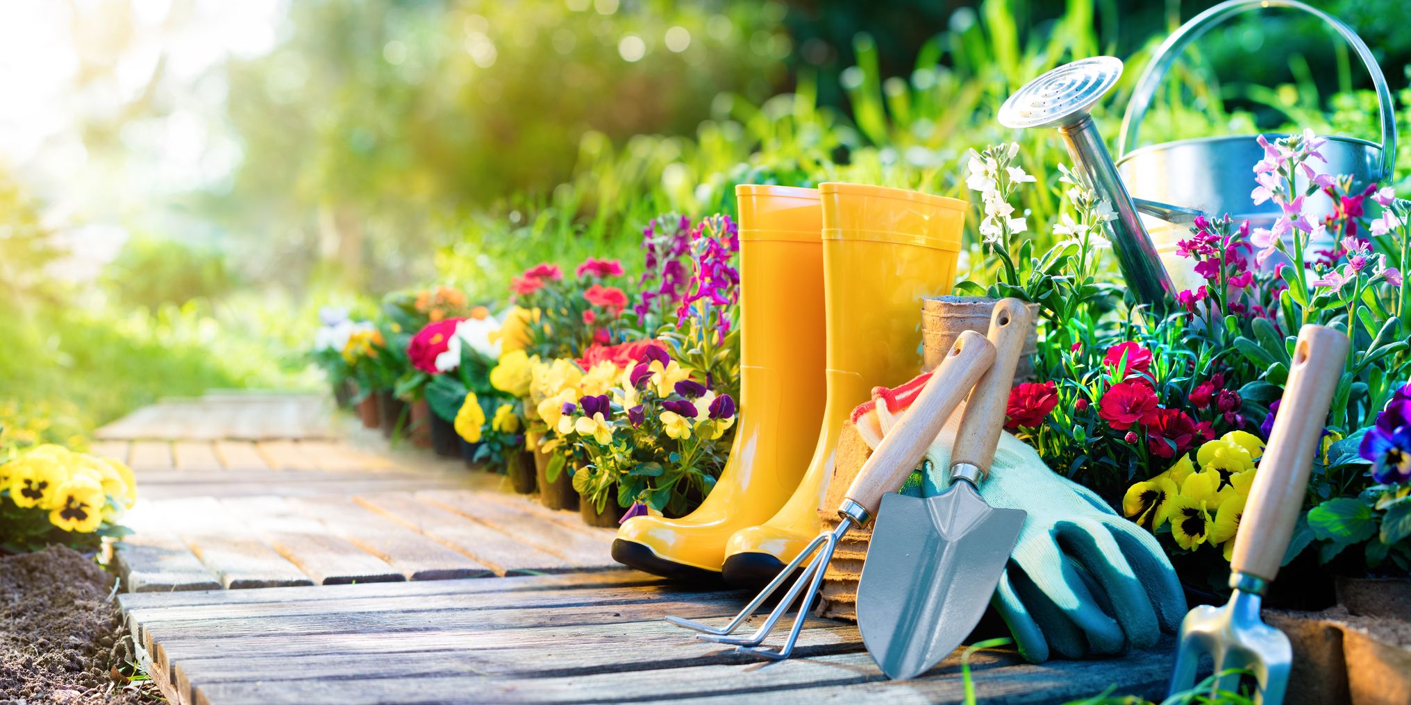 Organic Gardening Nurturing Nature’s Bounty