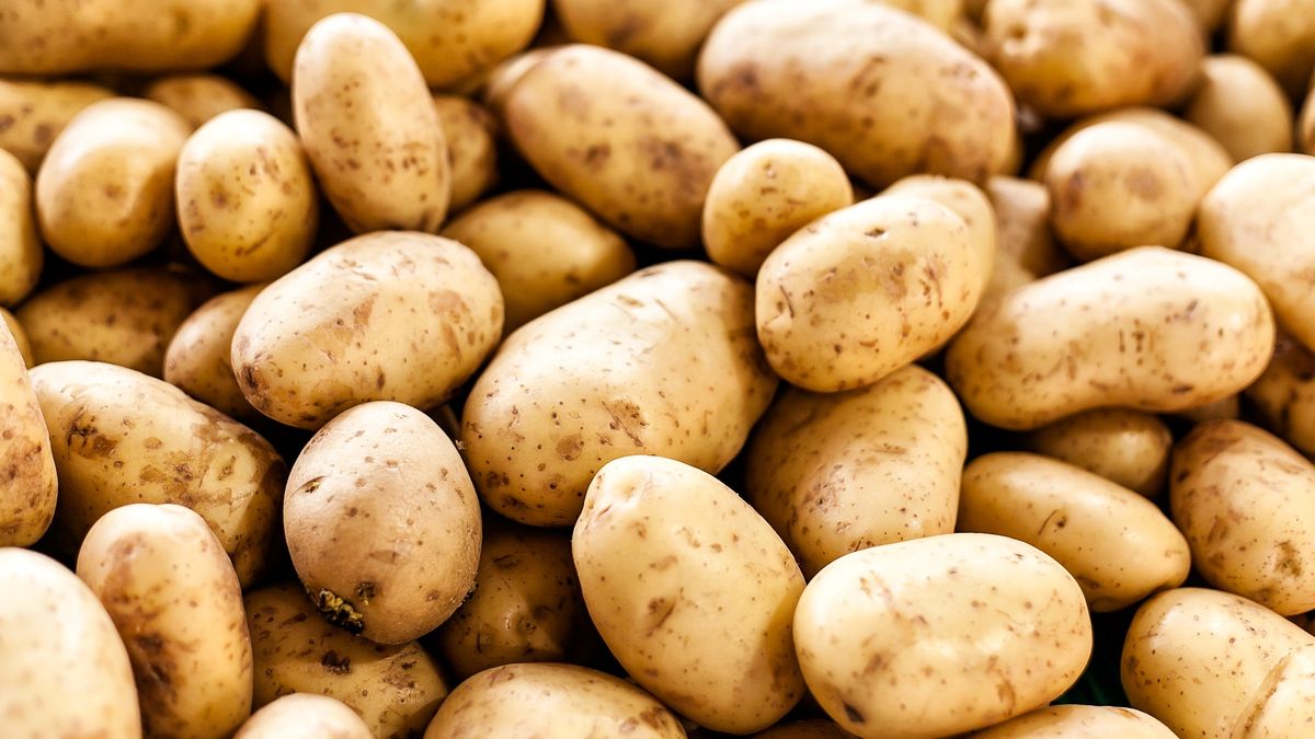 Potatoes A Versatile Staple Food