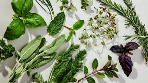 Herbs Nature's Flavorful Gifts