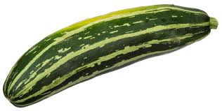 Zucchini A Versatile Summer Squash