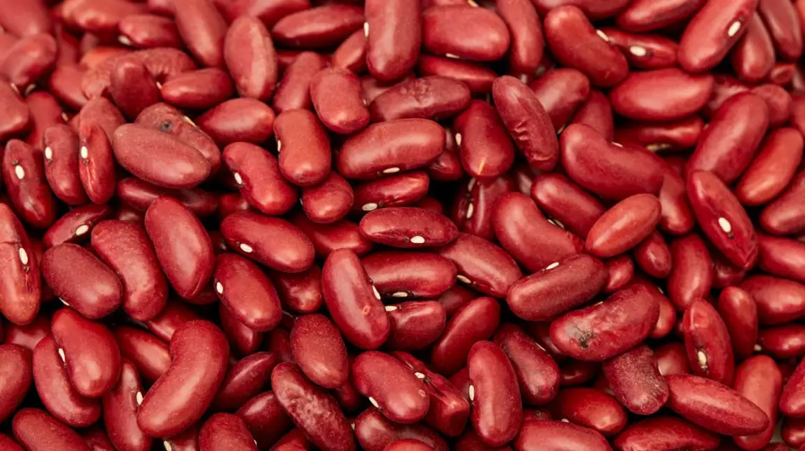 Beans A Versatile and Nutritious Food