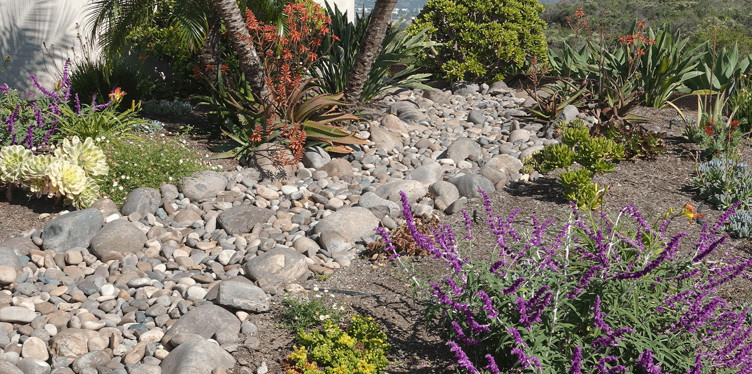 Xeriscaping A Sustainable Approach to Landscaping