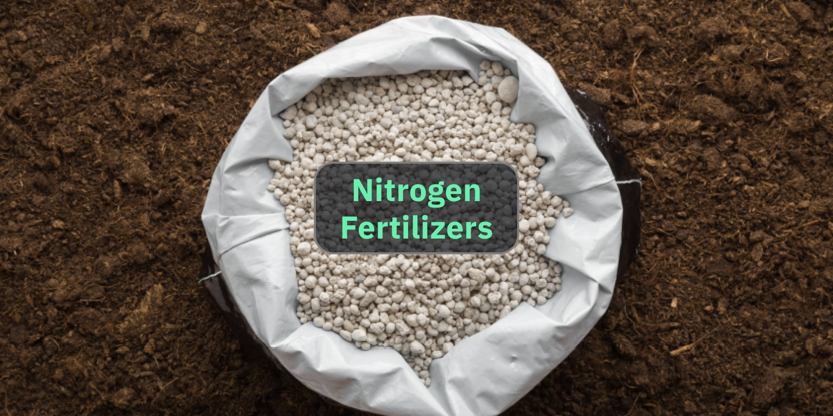 Fertilizing Your Plants A Nutrient Boost for Growth