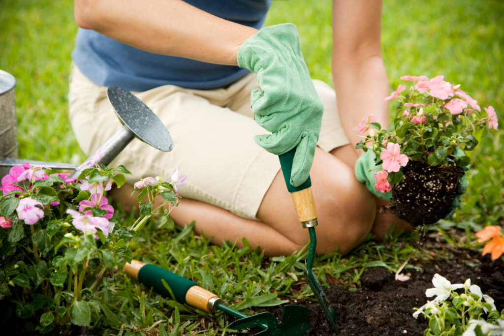 Gardening Tips for a Thriving Green Thumb