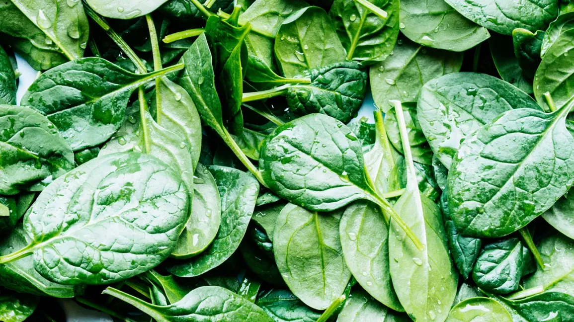 Spinach A Leafy Green Powerhouse